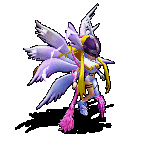 2025年9月30日更新公告